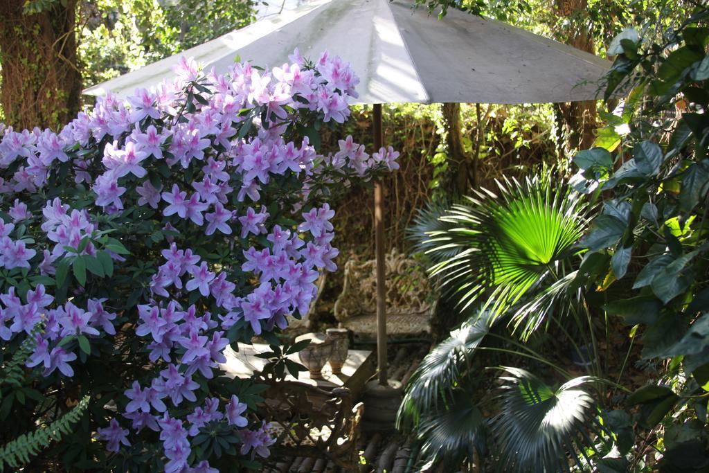 La Casona De Grace Acomodação com café da manhã Olivos Exterior foto