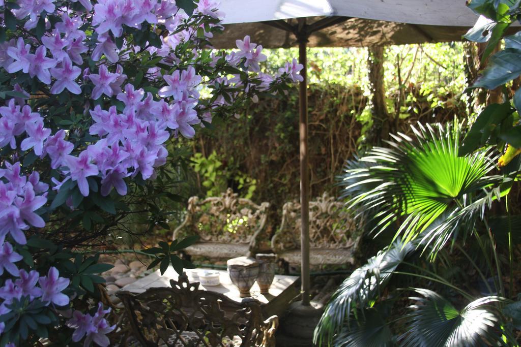 La Casona De Grace Acomodação com café da manhã Olivos Exterior foto