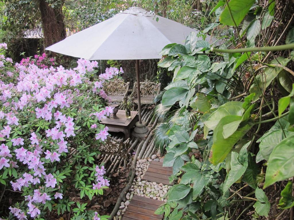 La Casona De Grace Acomodação com café da manhã Olivos Exterior foto